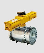 Pietro Fiorentini Deltaflux Valve